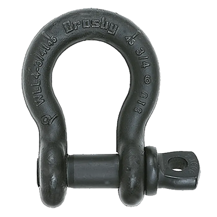 All Bow and D-Shackles All Bow and D-Shackles