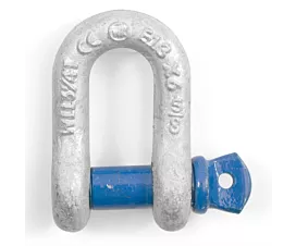D-Shackles Screw pin D-Shackle - Standard